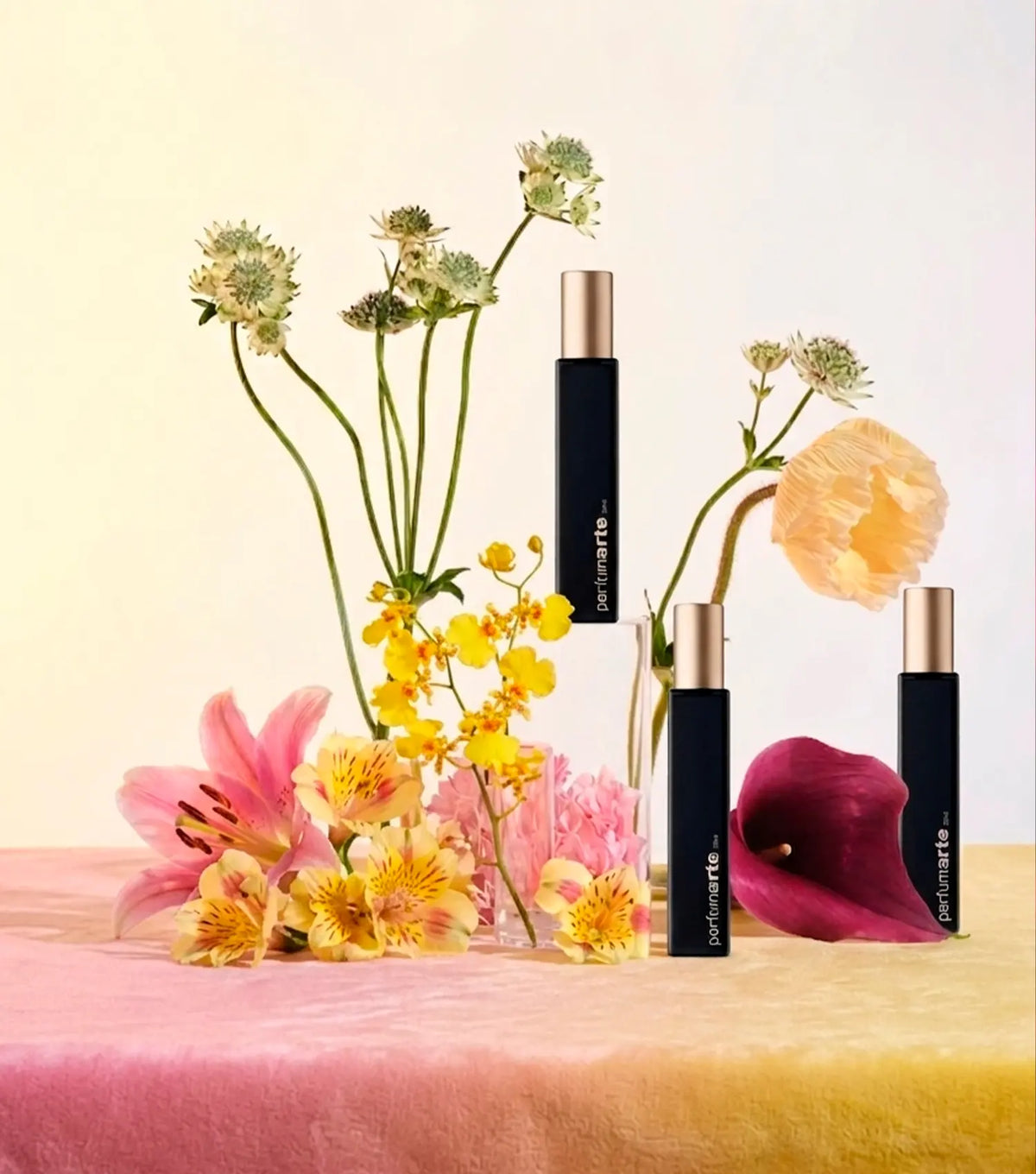 Packs Perfumes