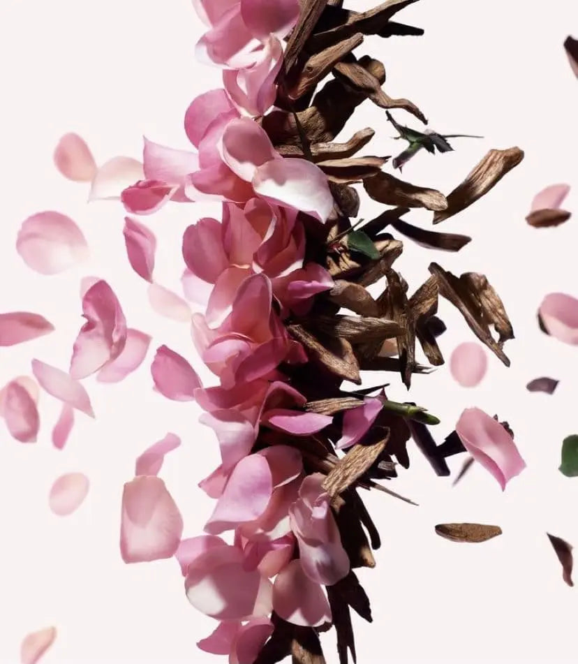 Perfumes Baratos Mujer