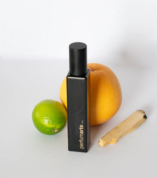 Envase de perfume Madera y Cuero (CHM) de 50 ml con composición de elementos