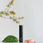 Envase de perfume Lima Solar (ELS) de 10 ml