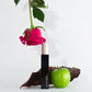 Envase de perfume Agua de Magnolia (THT) de 50 ml