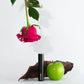 Envase de perfume Agua de Magnolia (THT) de 10 ml